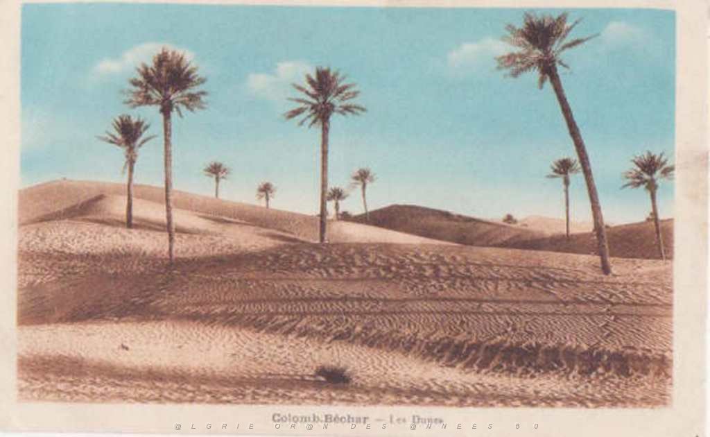 COLOMB BECHAR 1932 LES DUNES.JPG